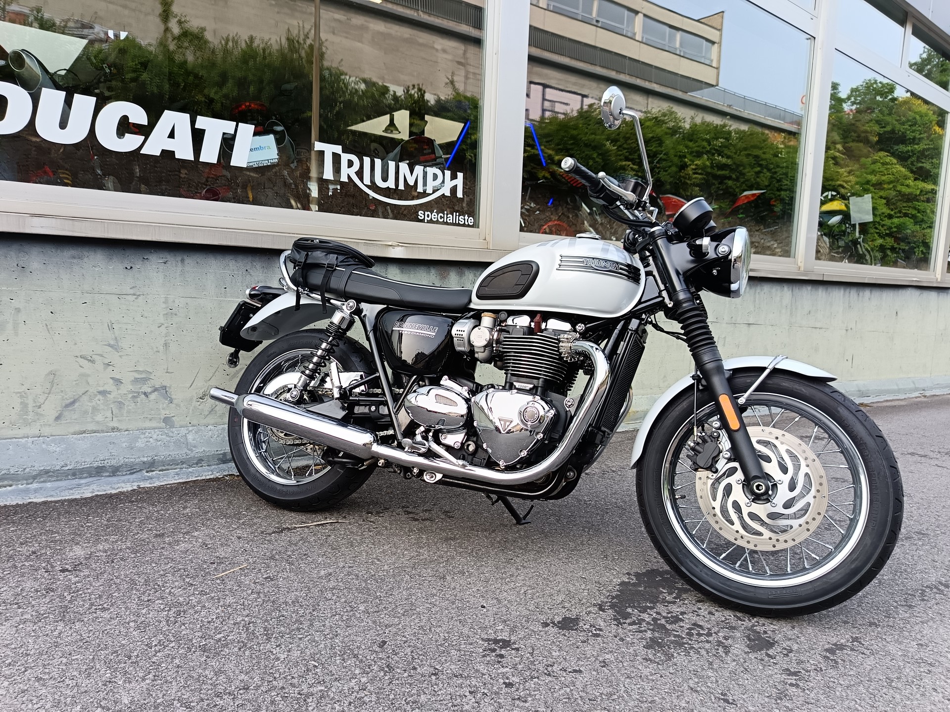 TRIUMPH Bonneville T120 DIAMOND EDITION-image-1