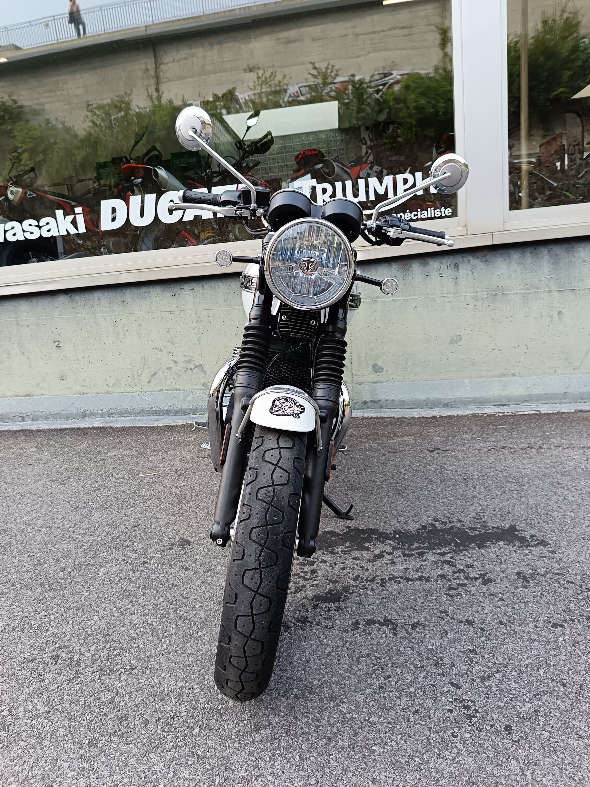 TRIUMPH Bonneville T120 DIAMOND EDITION-image-4