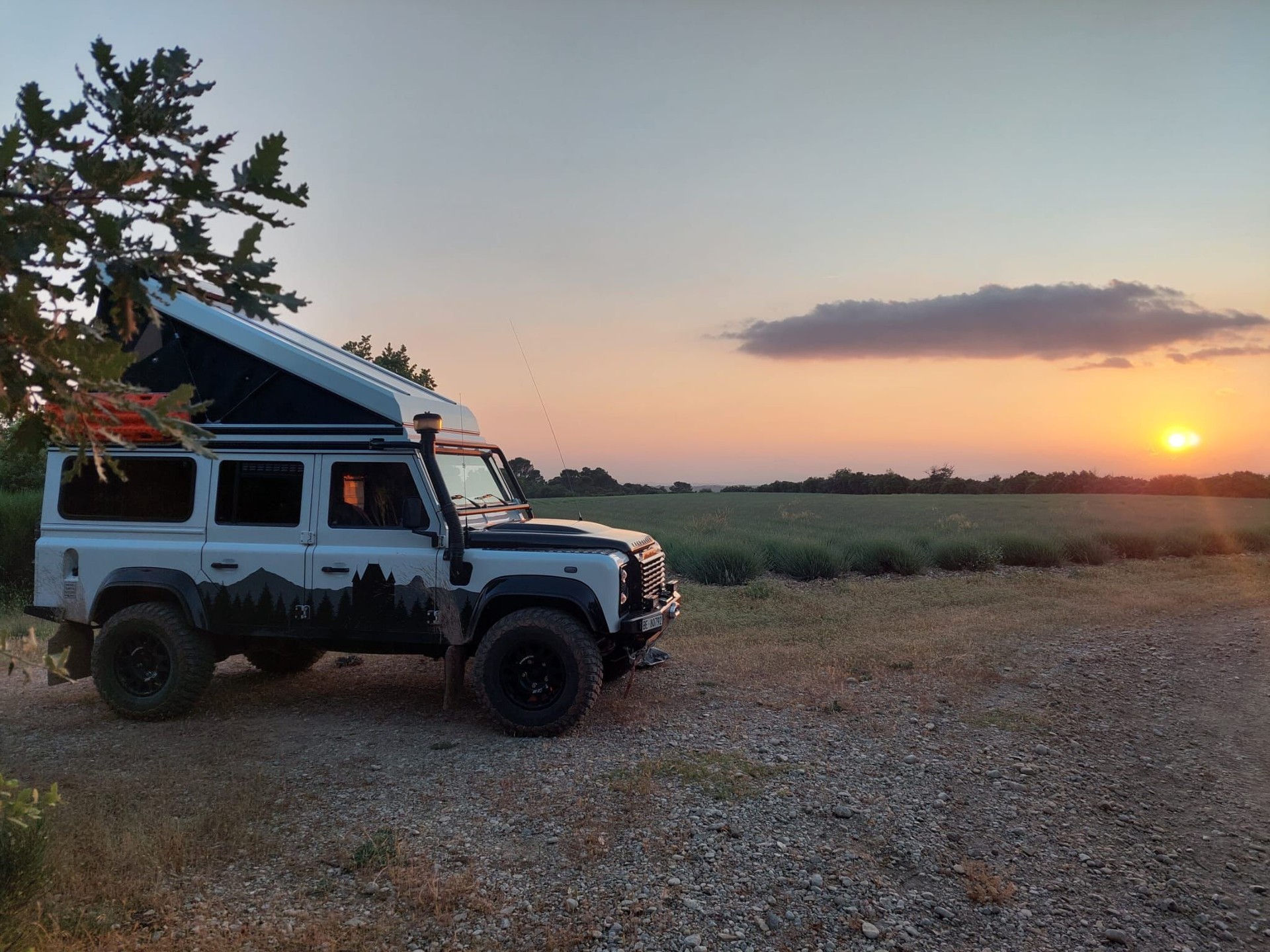 LAND ROVER Defender 110 2.4 Td4 Station Wagon-image-4
