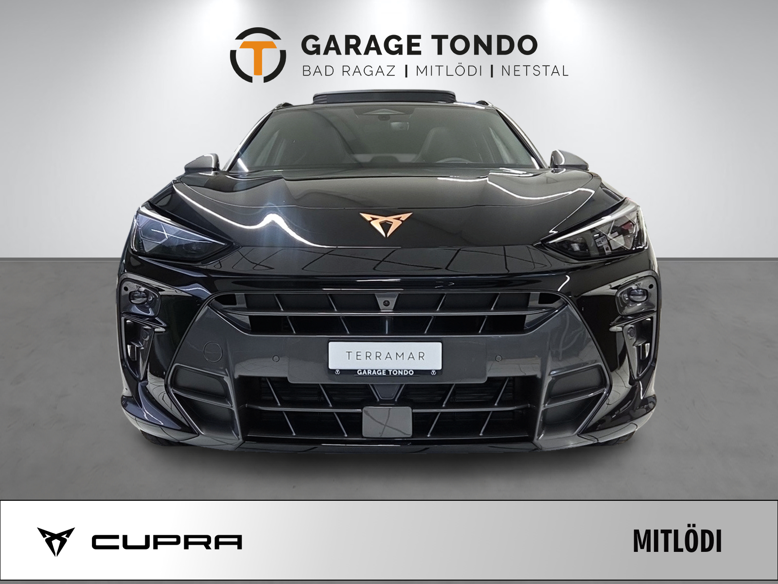 CUPRA Terramar 2.0 TSI Prime Edition VZ 4Drive DSG-showroom-element-1