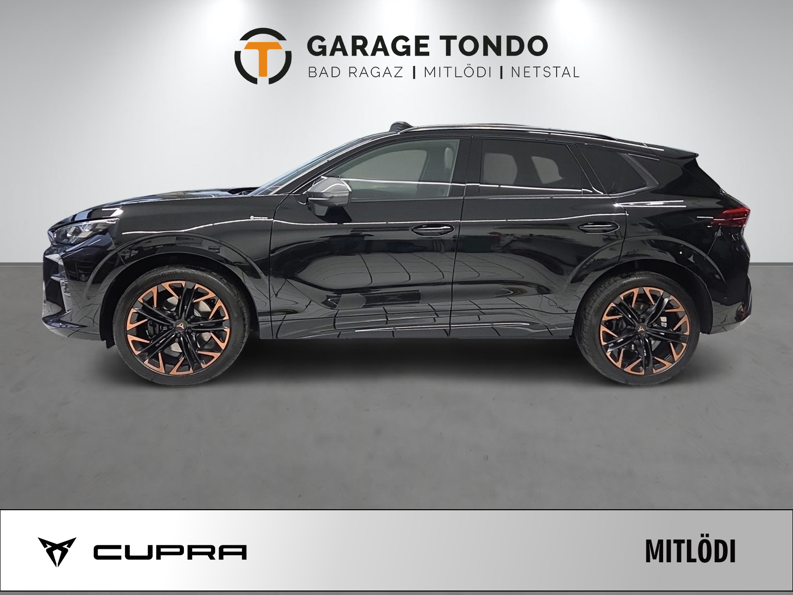 CUPRA Terramar 2.0 TSI Prime Edition VZ 4Drive DSG-showroom-element-3