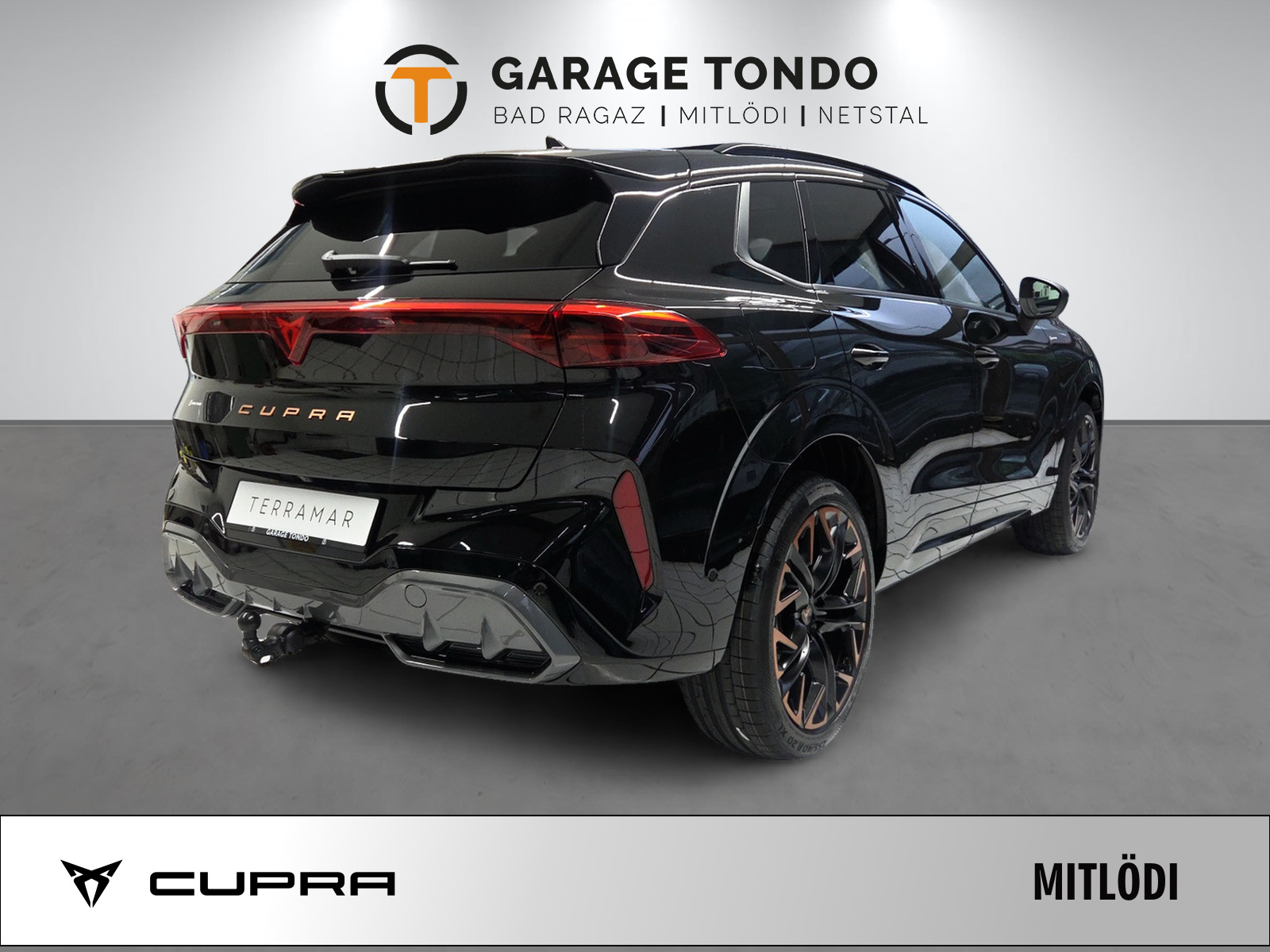 CUPRA Terramar 2.0 TSI Prime Edition VZ 4Drive DSG-showroom-element-2