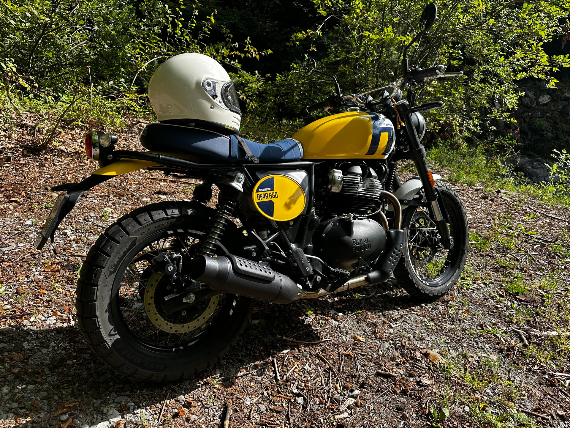ROYAL ENFIELD BEAR 650-image-3