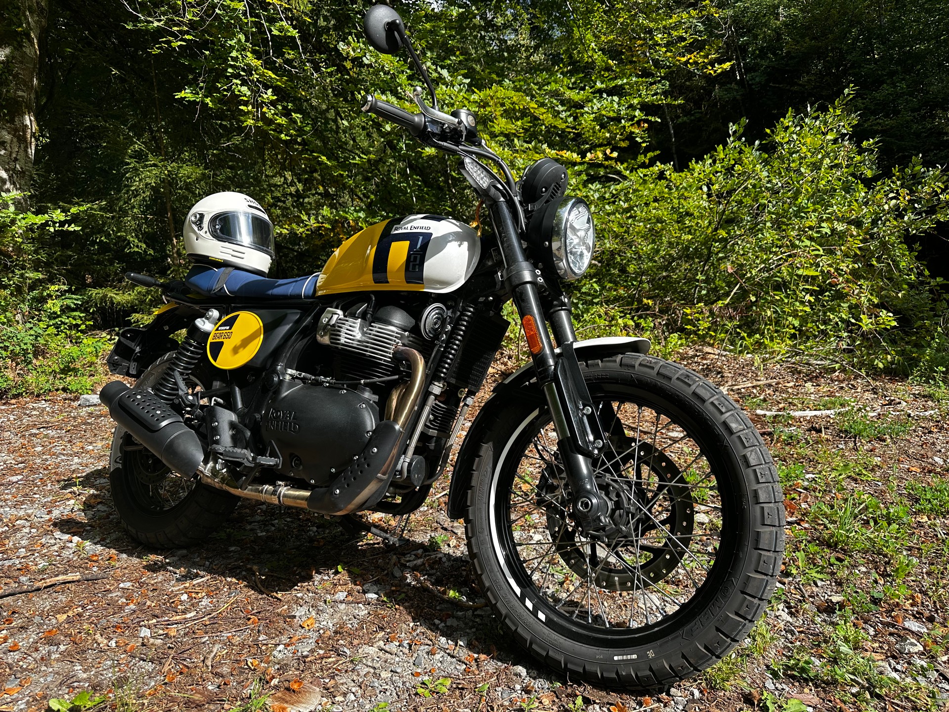 ROYAL ENFIELD BEAR 650-image-1