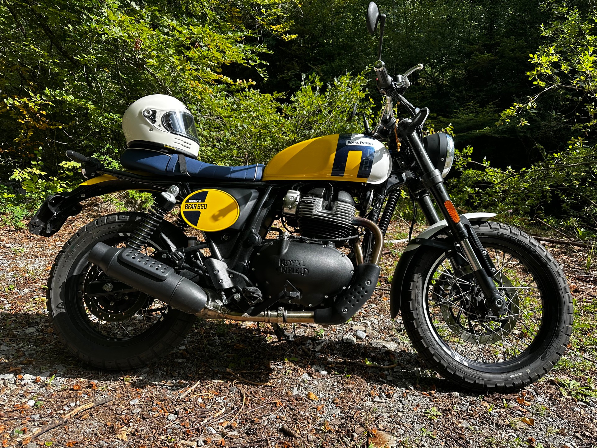 ROYAL ENFIELD BEAR 650-image-0