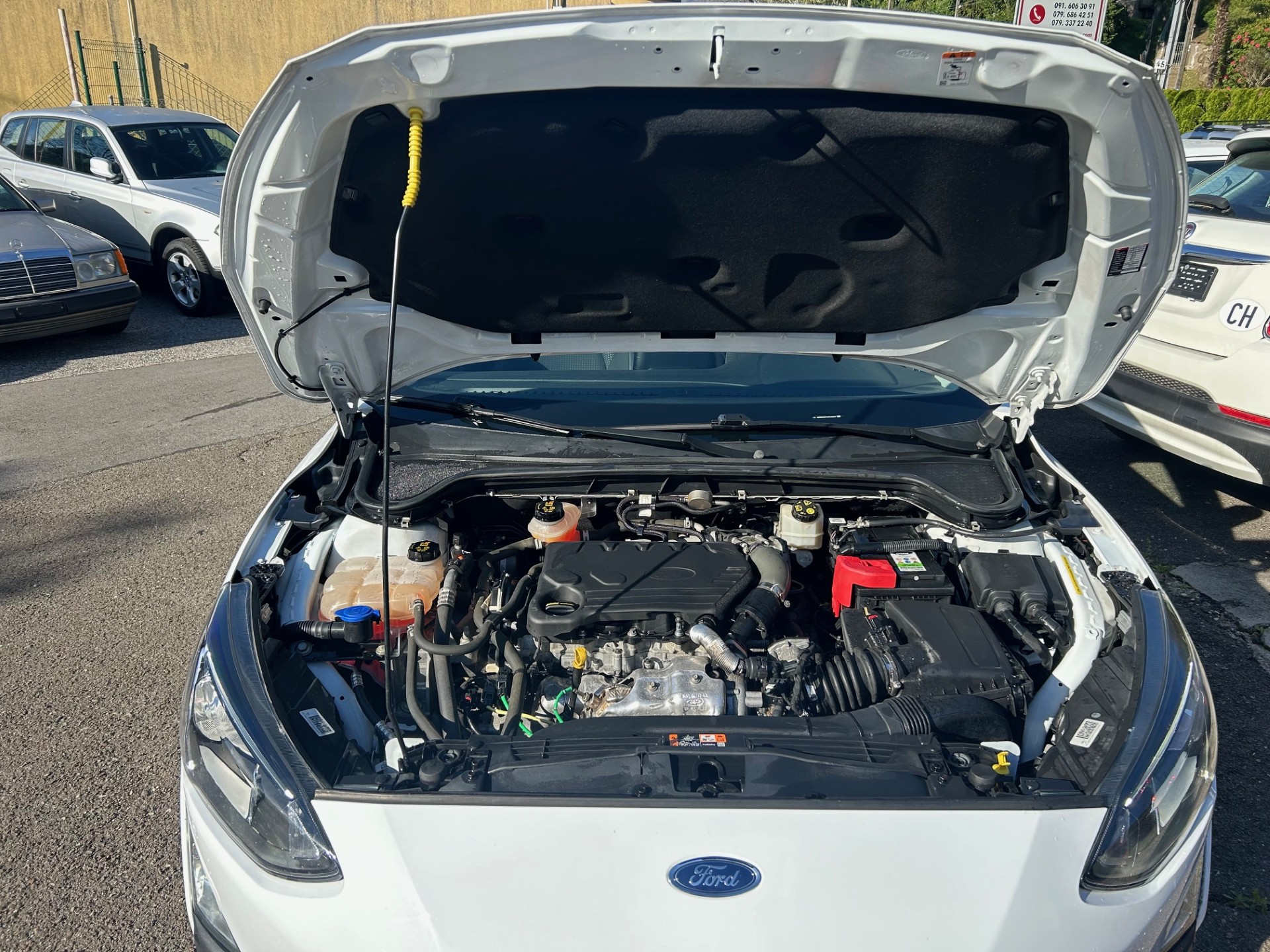 FORD Focus 1.5 TDCi Business-image-6