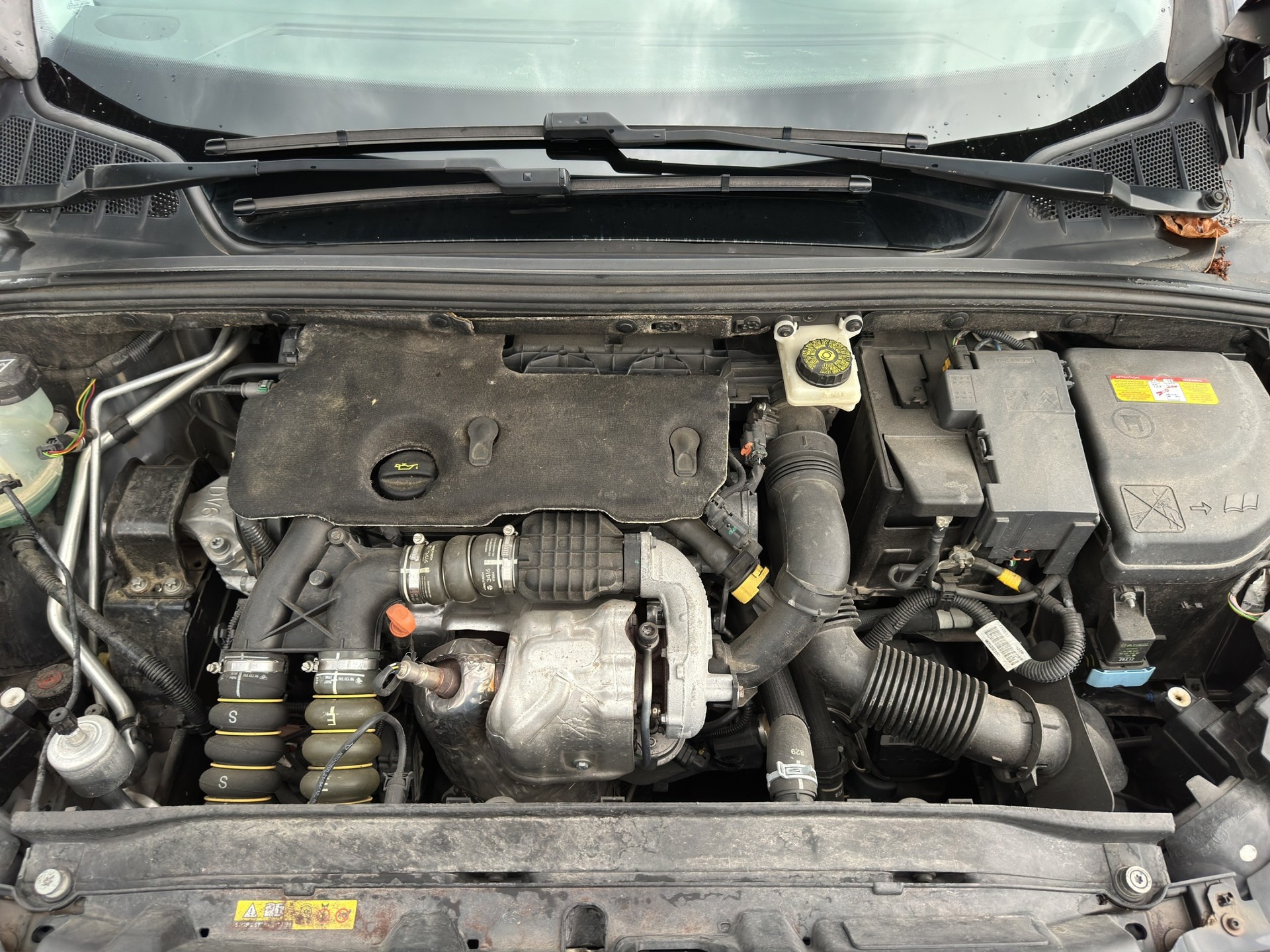 PEUGEOT 308 SW 1.6 HDI Business-image-16