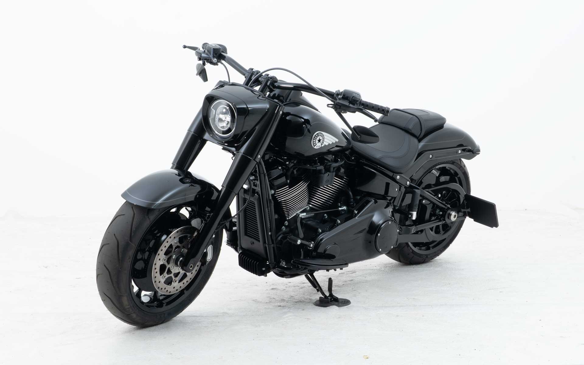 HARLEY-DAVIDSON FLFB Fat Boy 117ci-image-4