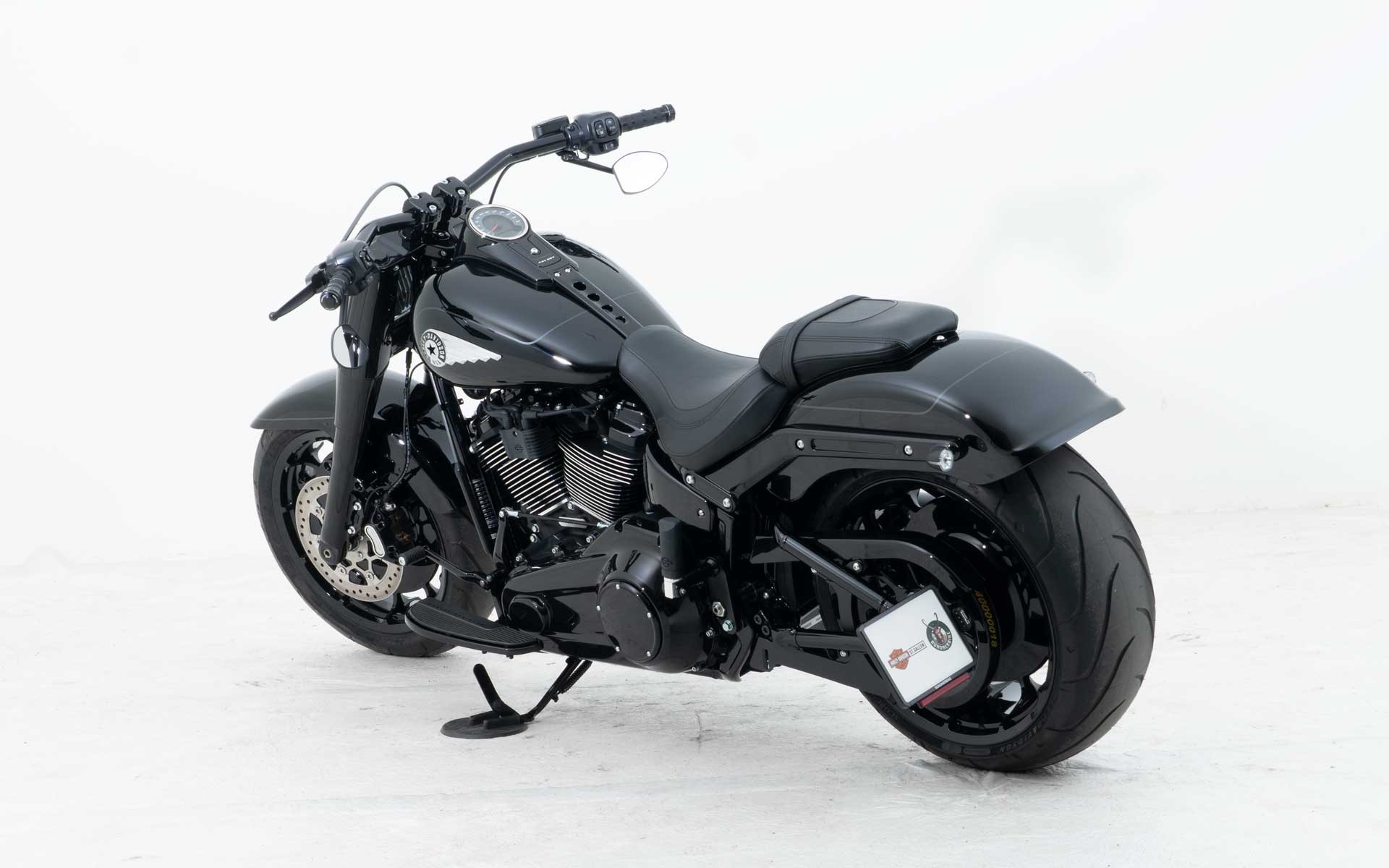 HARLEY-DAVIDSON FLFB Fat Boy 117ci-image-3