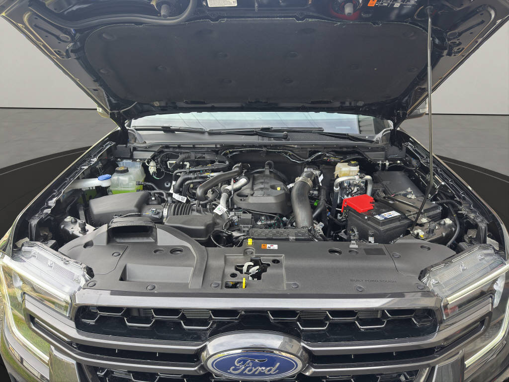 FORD Ranger DKab.Pick-up 2.0 EcoBlu Wildtrak AWD-image-19