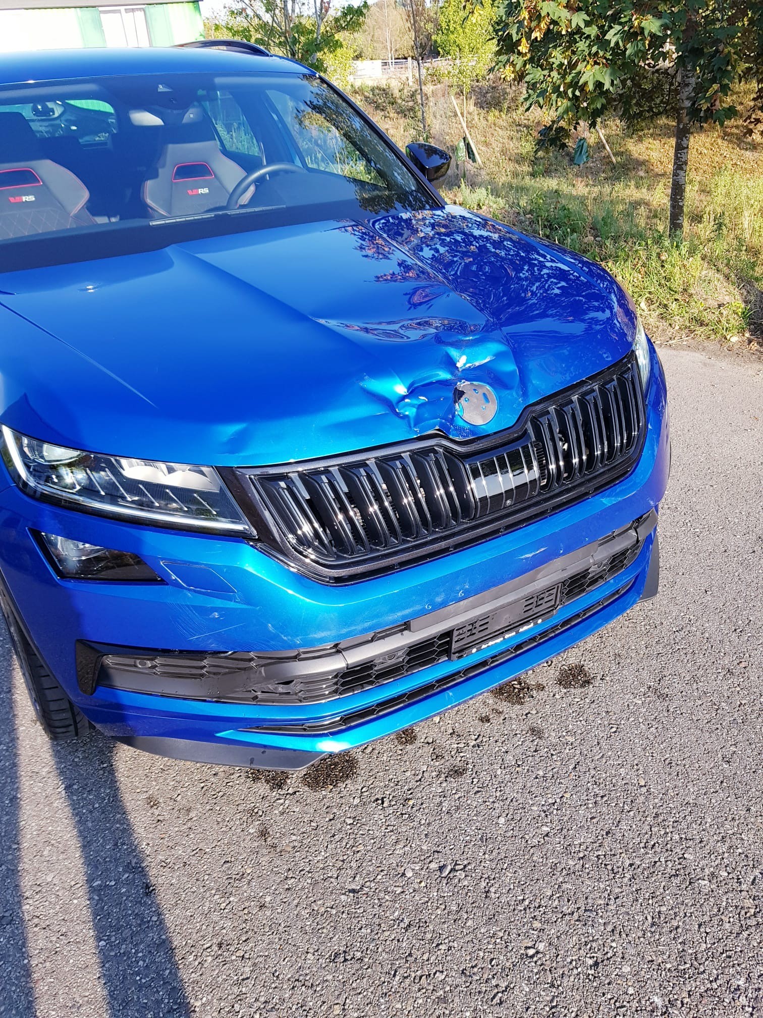 SKODA Kodiaq 2.0 Bi-TDI SCR RS 4x4 DSG-image-5