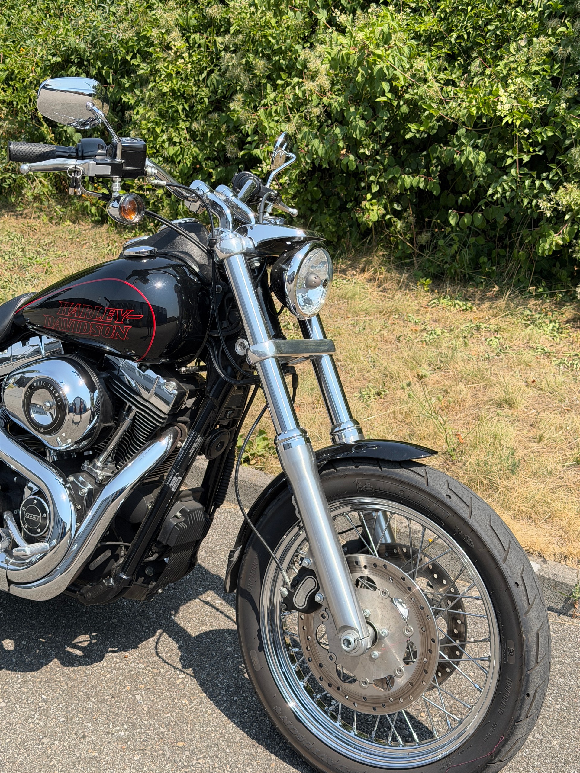 HARLEY-DAVIDSON FXDL Dyna Low Rider ABS-image-1