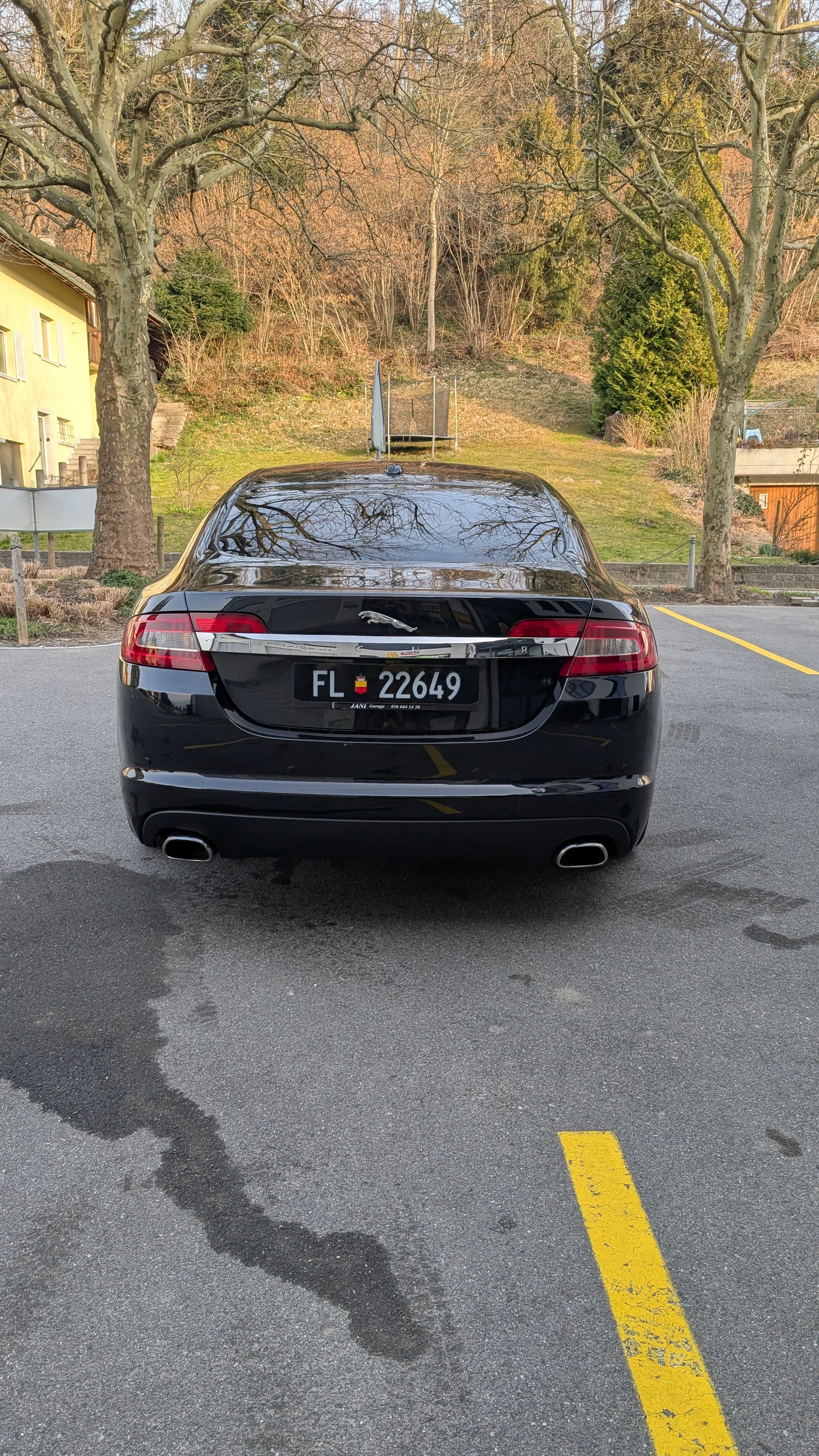 JAGUAR 4.2 V8 Premium Luxury-image-2