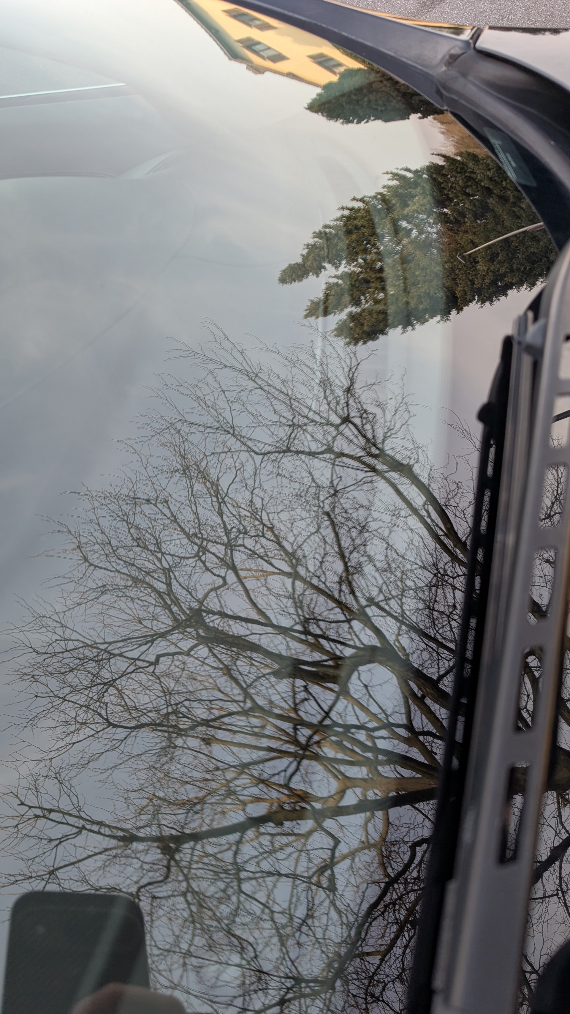 JAGUAR 4.2 V8 Premium Luxury-image-16
