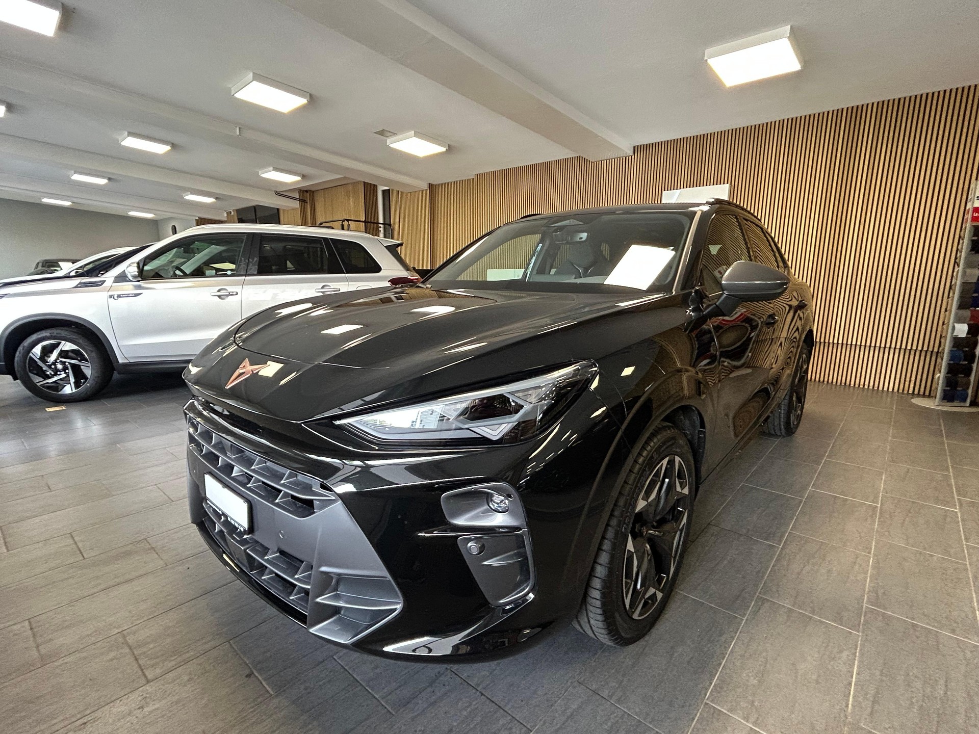 CUPRA Terramar 2.0 TSI VZ 4Drive DSG-showroom-element-3