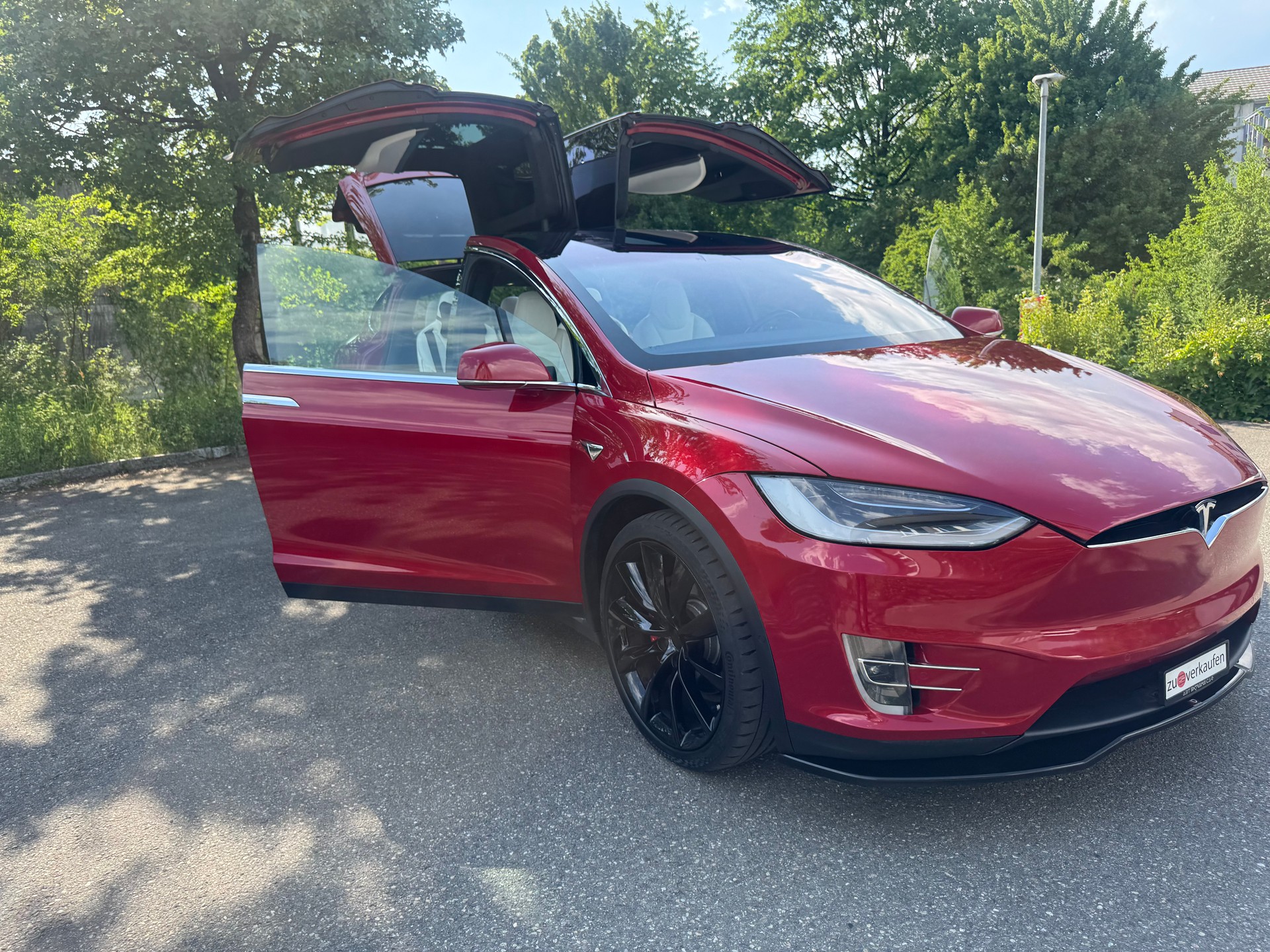 TESLA Model X 100 D Performance-image-10