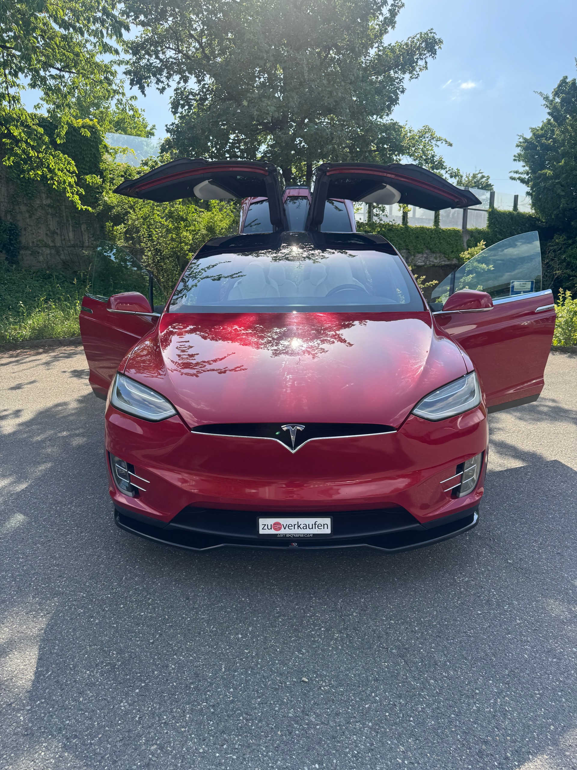 TESLA Model X 100 D Performance-image-12