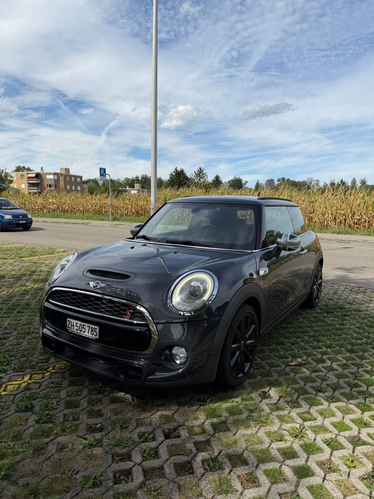 MINI S