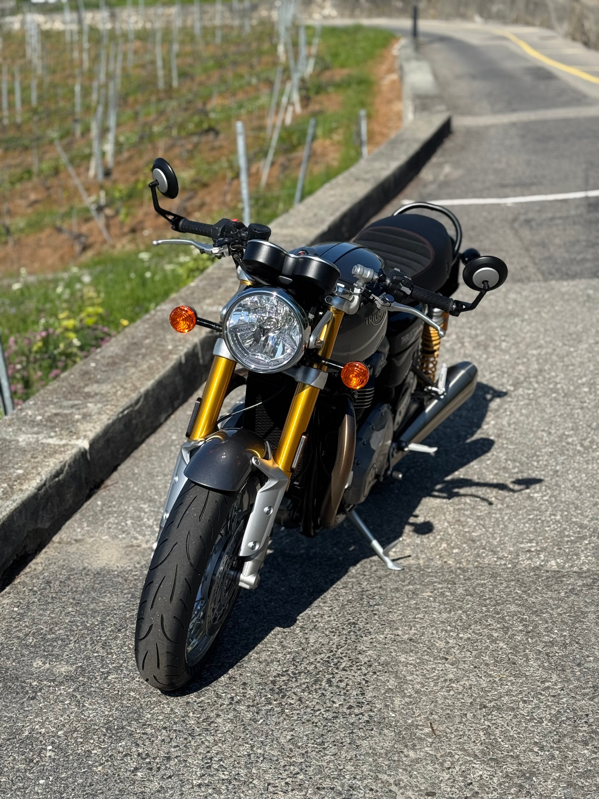 TRIUMPH Thruxton R 1200 i ABS-image-4
