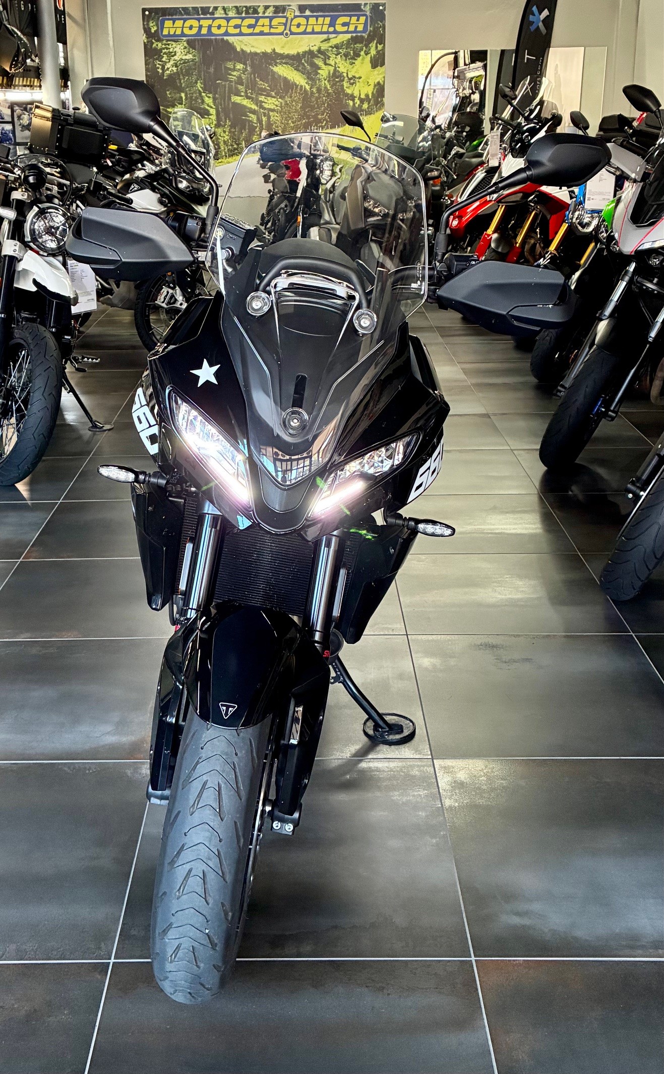 TRIUMPH Tiger Sport 660 MY 2025-image-1