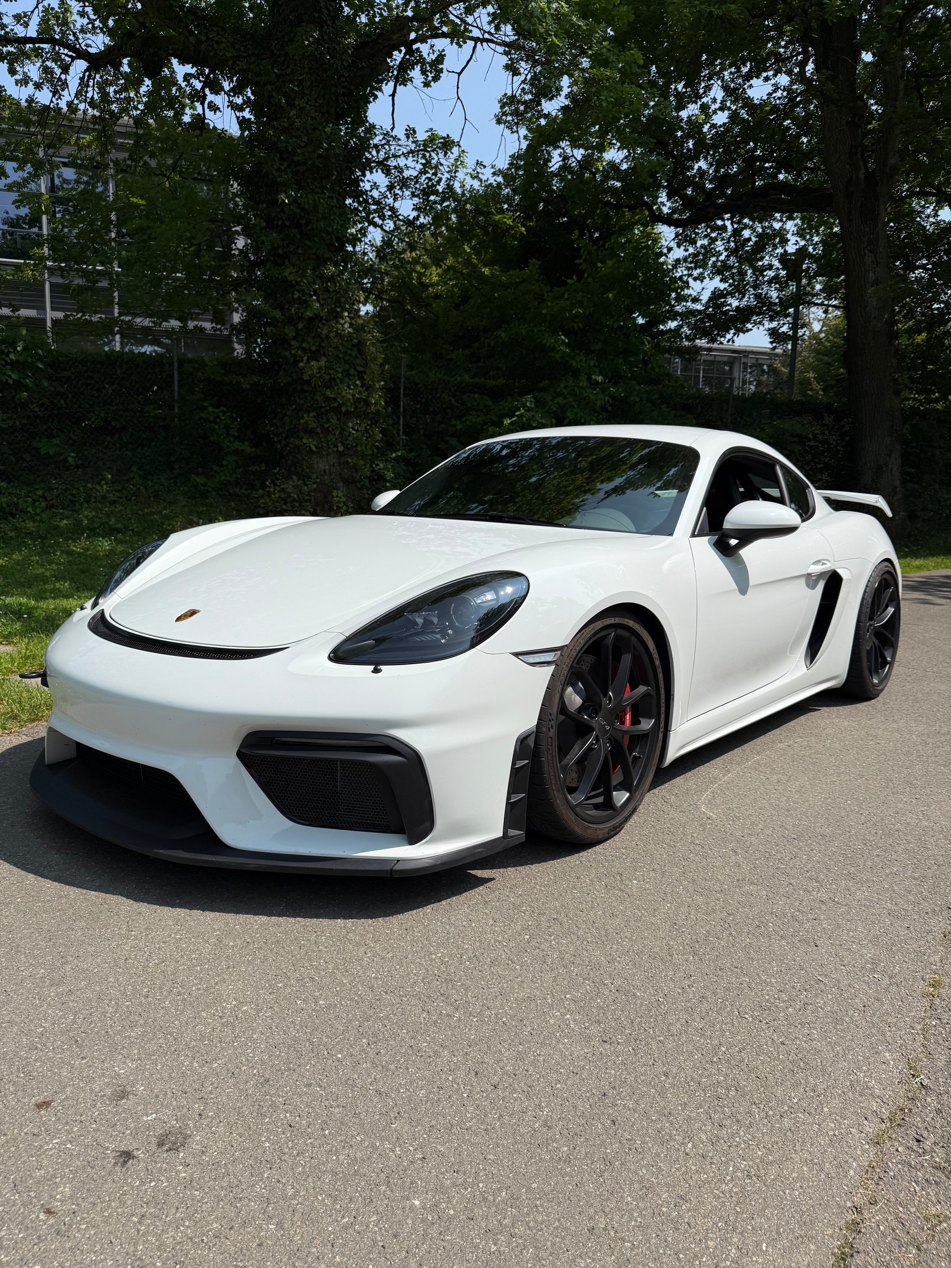 PORSCHE 718 Cayman GT4-image-2