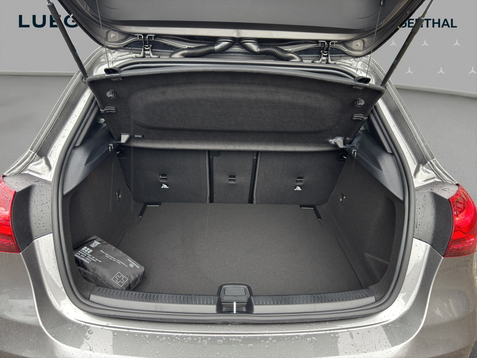 MERCEDES-BENZ A 250 4Matic 8G-DCT-image-15