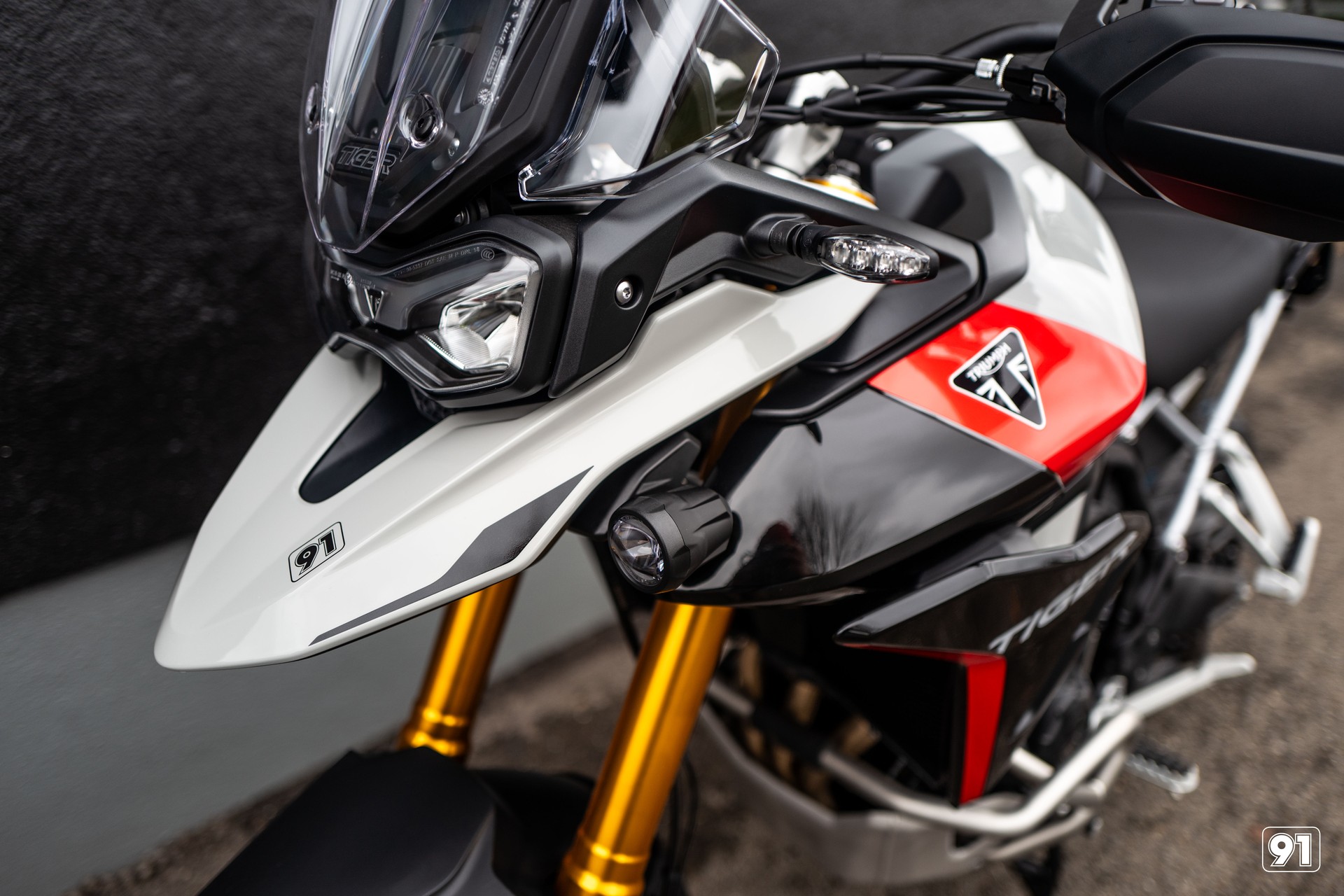 TRIUMPH 900 Rally pro-image-3