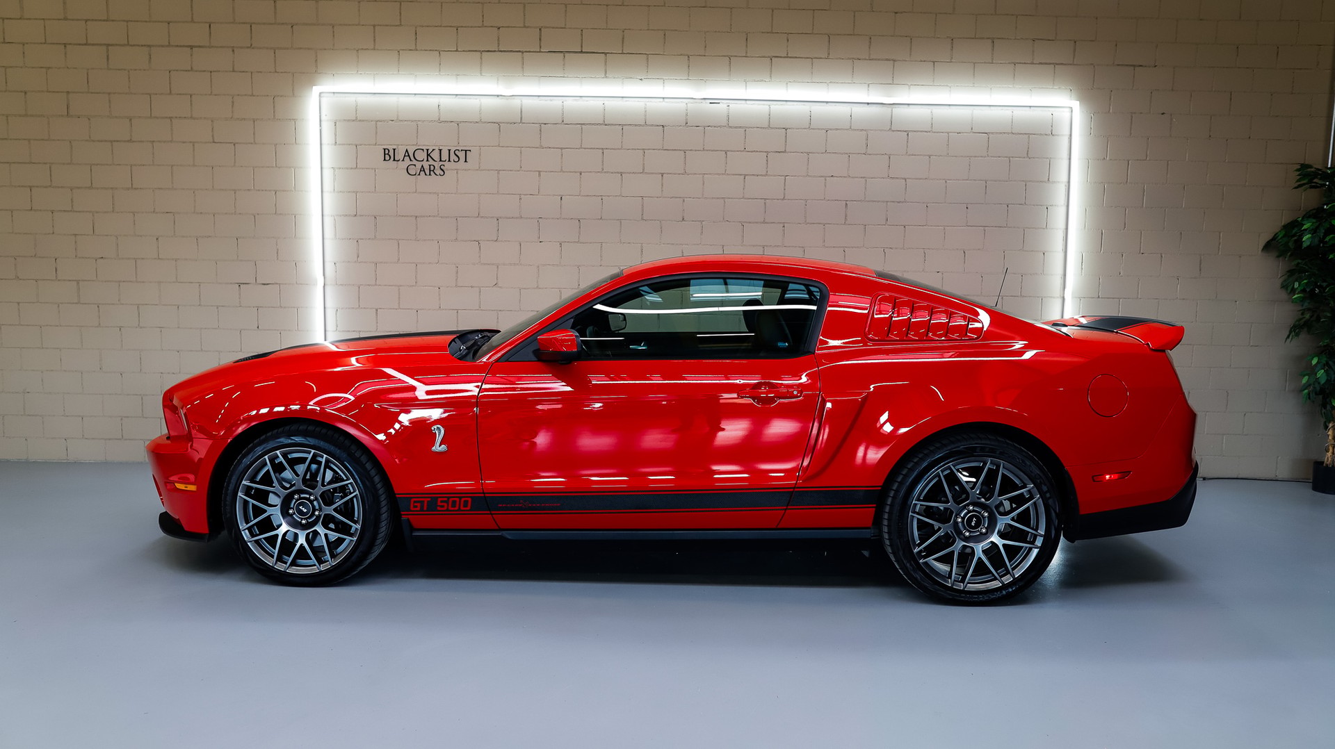FORD Shelby GT 500 SVT-showroom-element-3