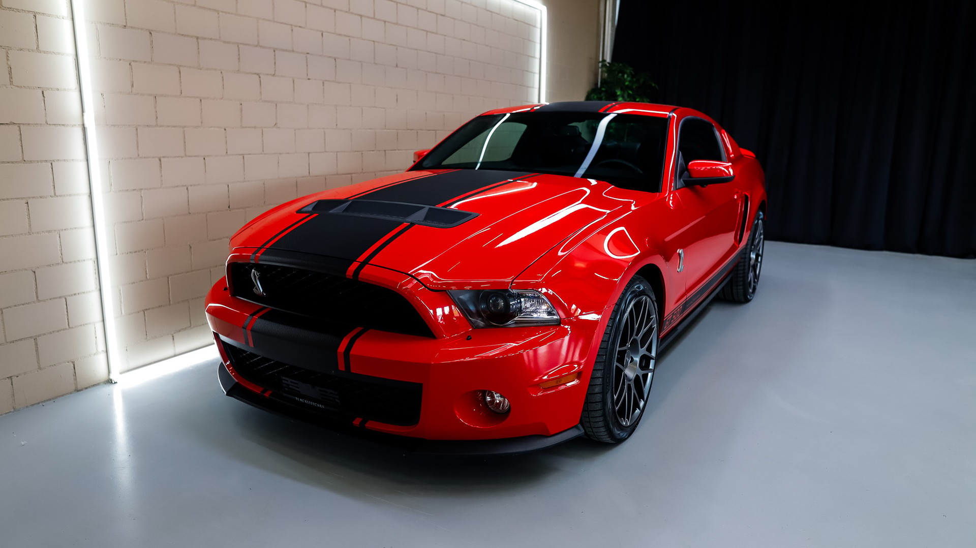 FORD Shelby GT 500 SVT-showroom-element-1