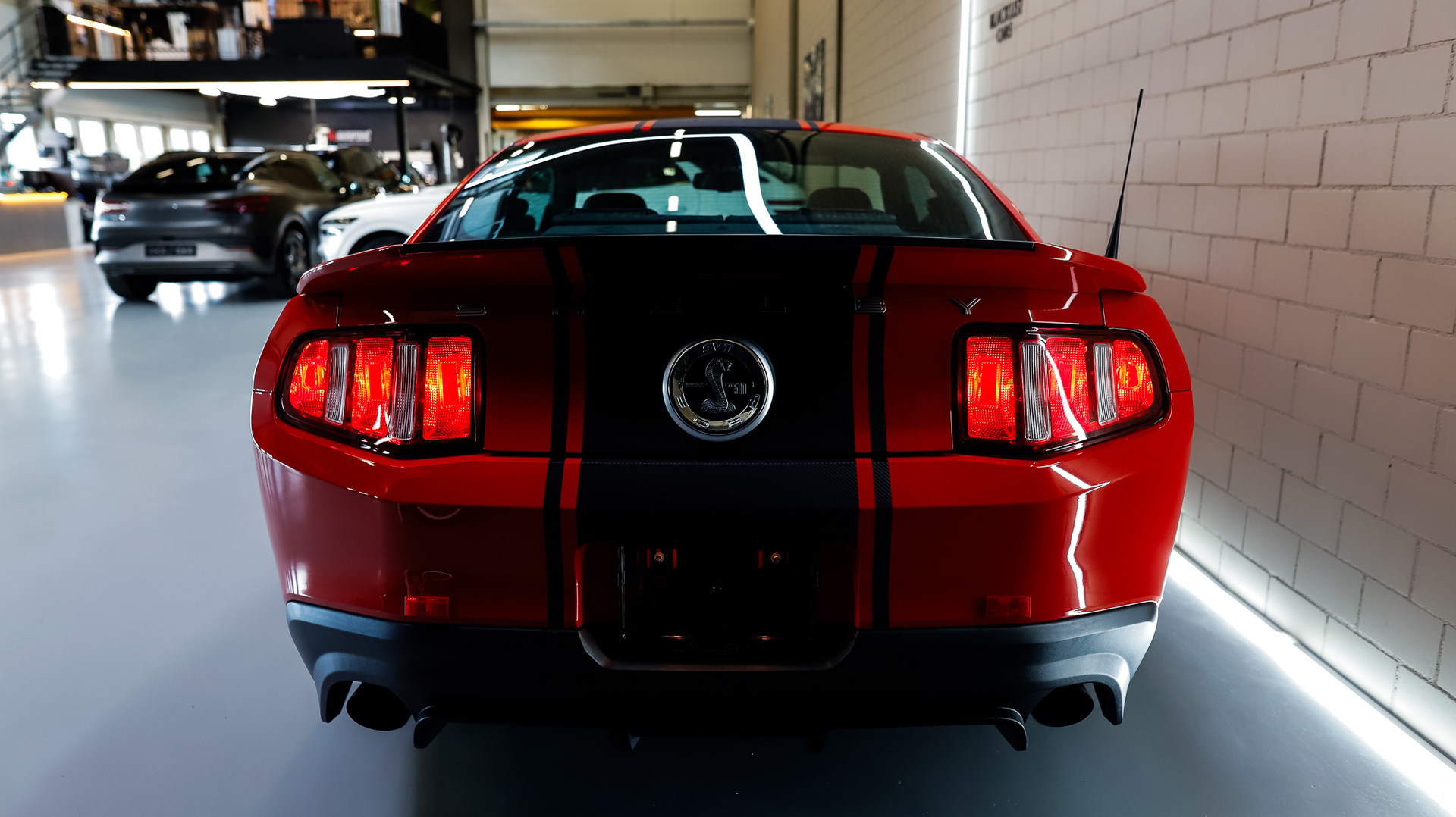 FORD Shelby GT 500 SVT-image-5