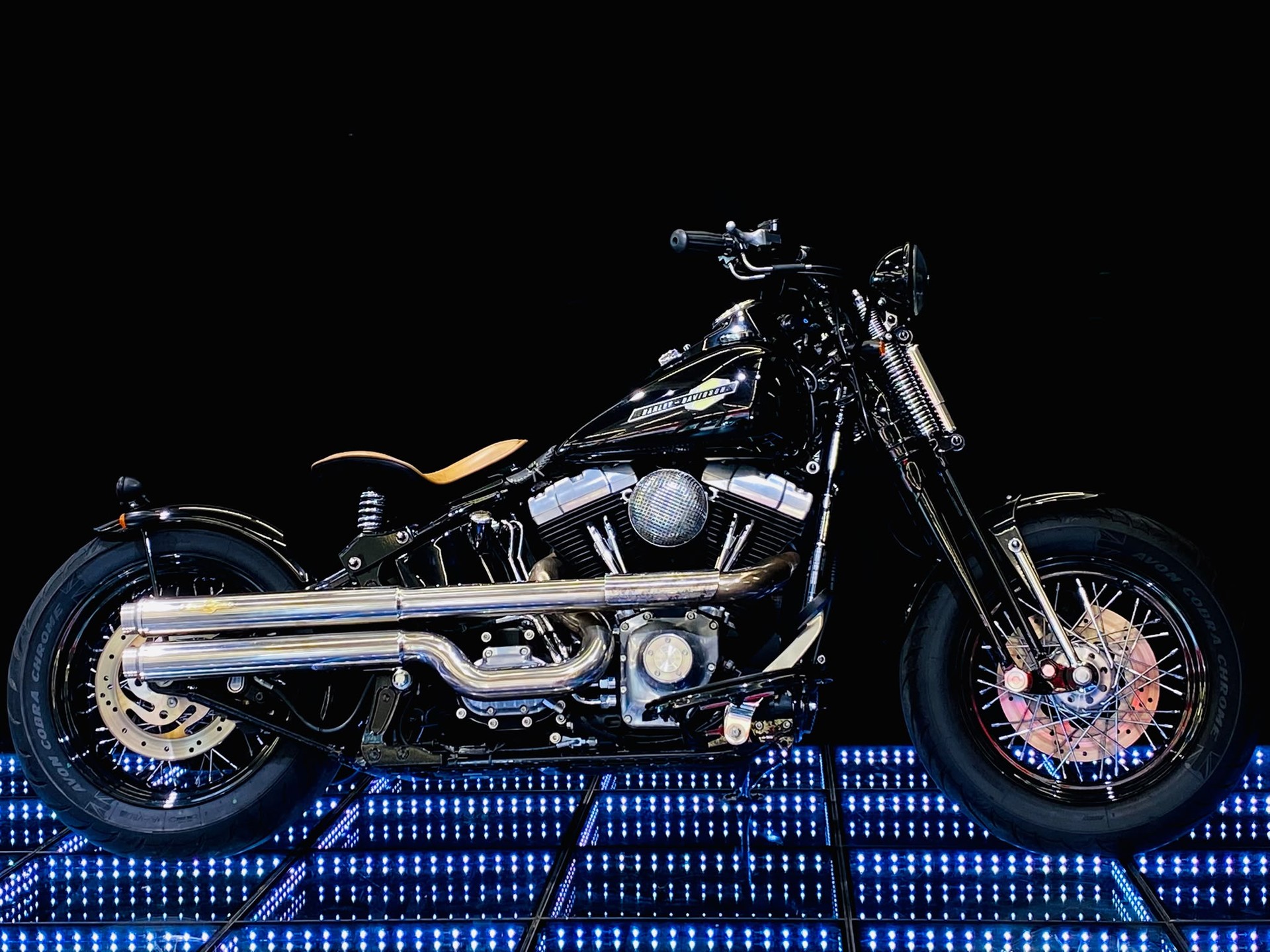 HARLEY-DAVIDSON FLSTSB Cross Bones-image-2