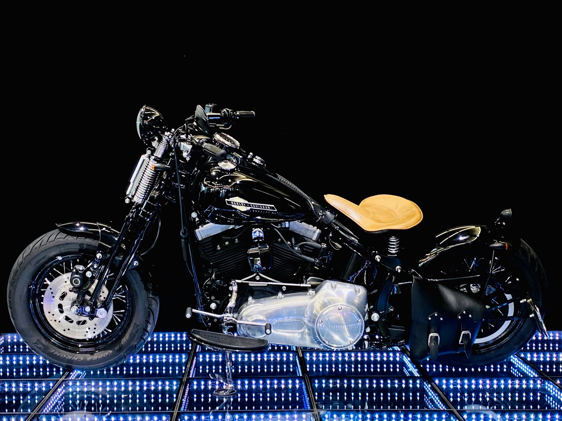 HARLEY-DAVIDSON FLSTSB Cross Bones-image-3
