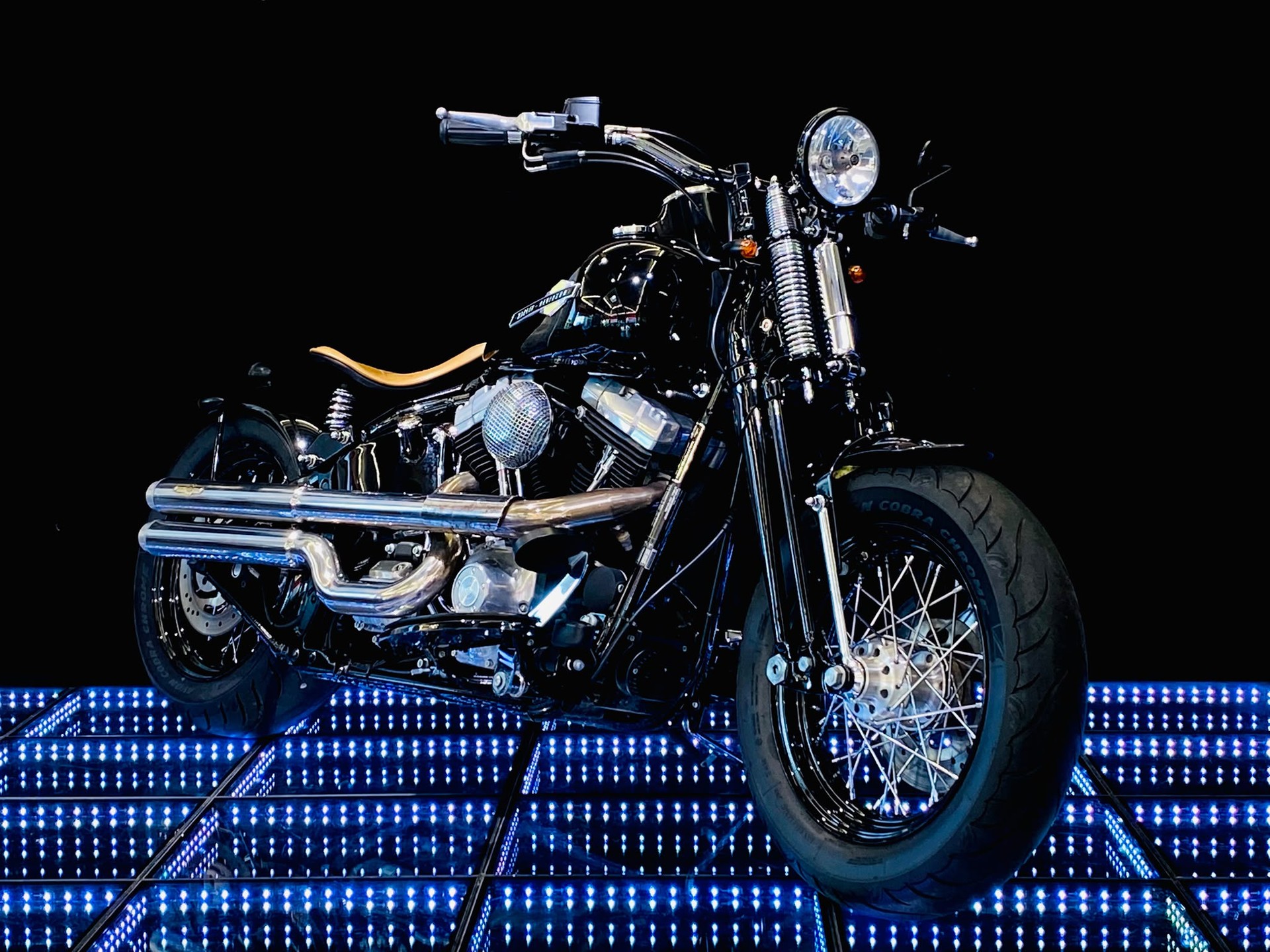 HARLEY-DAVIDSON FLSTSB Cross Bones-image-0