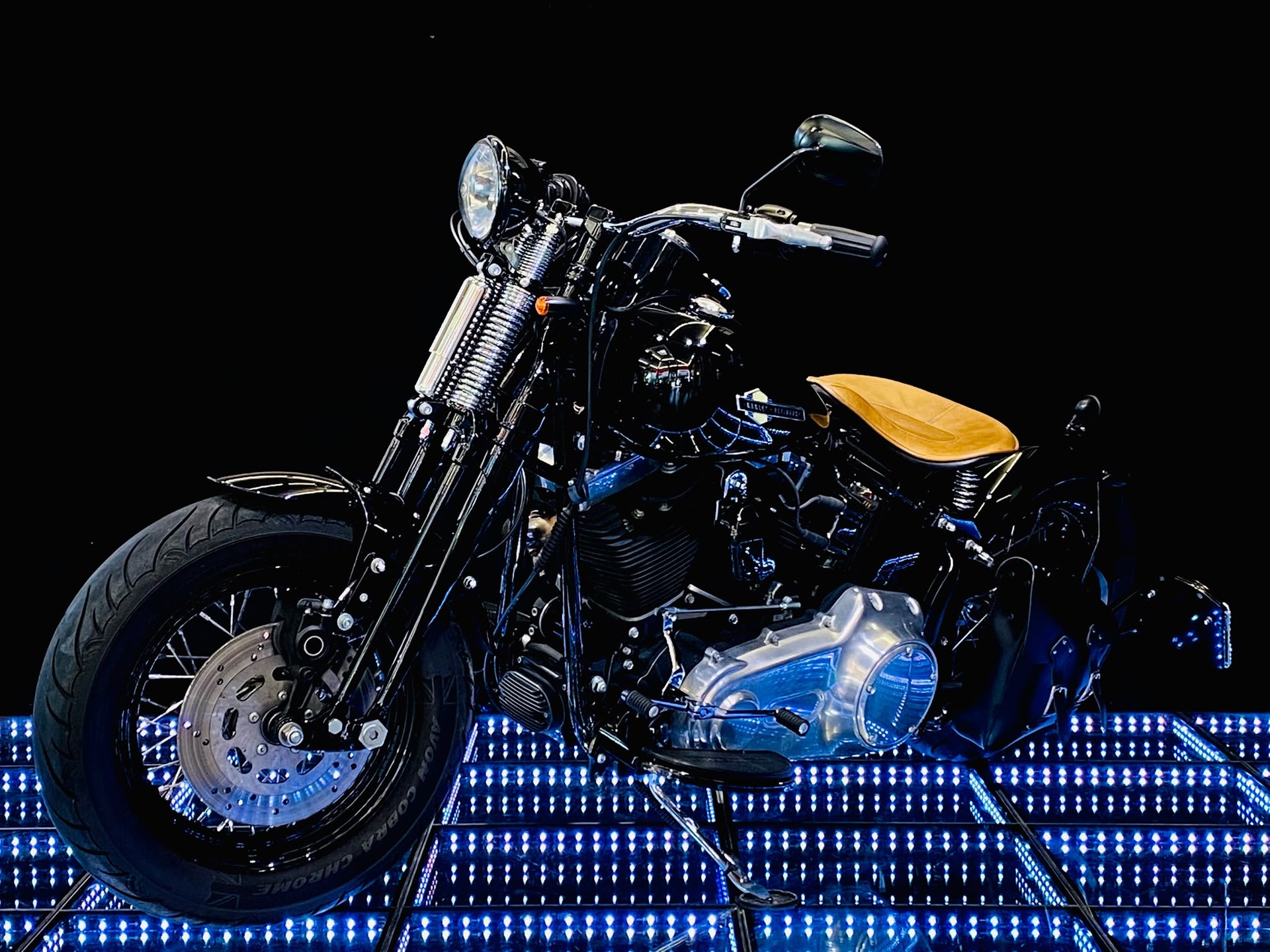 HARLEY-DAVIDSON FLSTSB Cross Bones-image-1