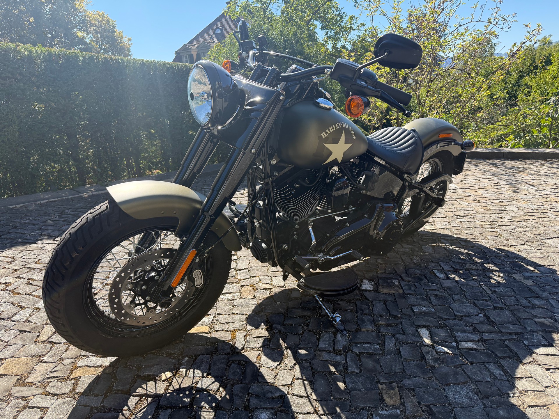 HARLEY-DAVIDSON FLSS Softail Slim S110 ABS-image-0
