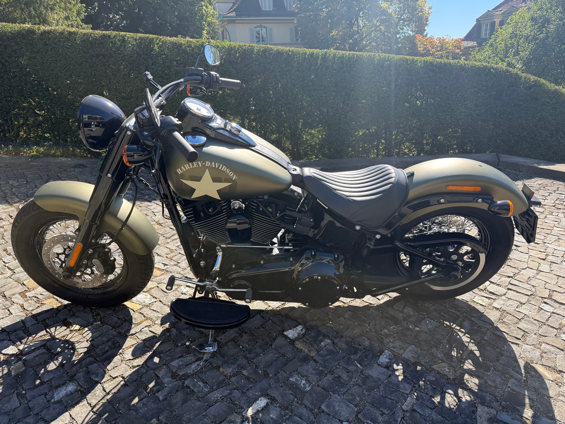 HARLEY-DAVIDSON FLSS Softail Slim S110 ABS-image-3