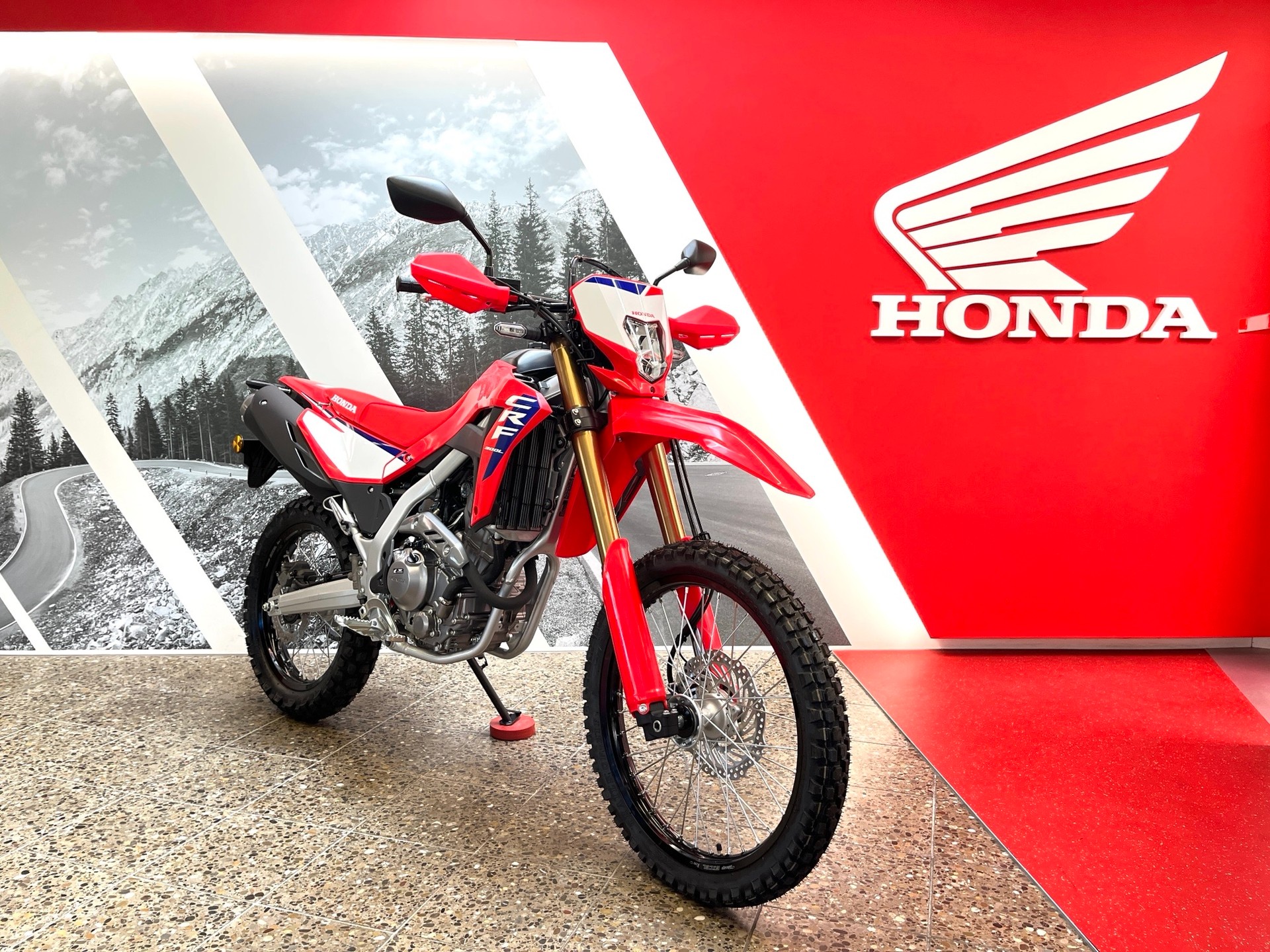 HONDA CRF 300 LA ABS-image-2