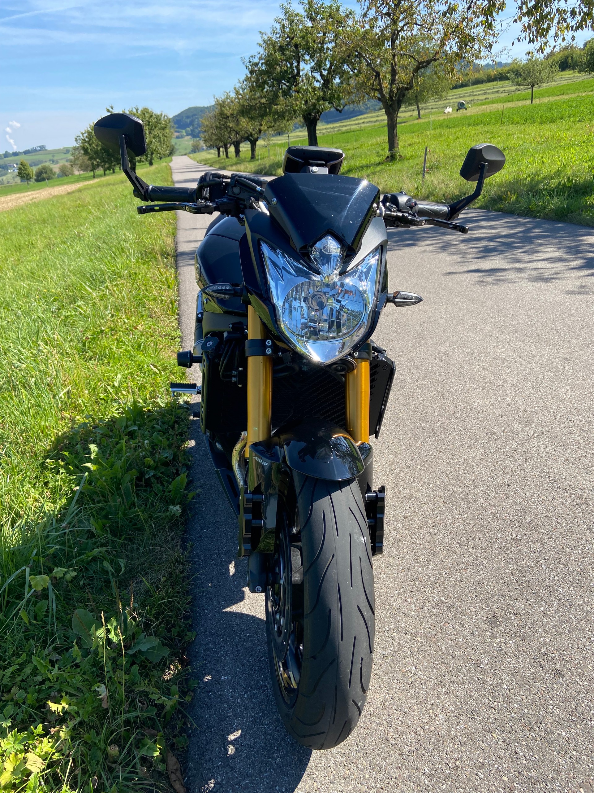 YAMAHA FZ8-image-2