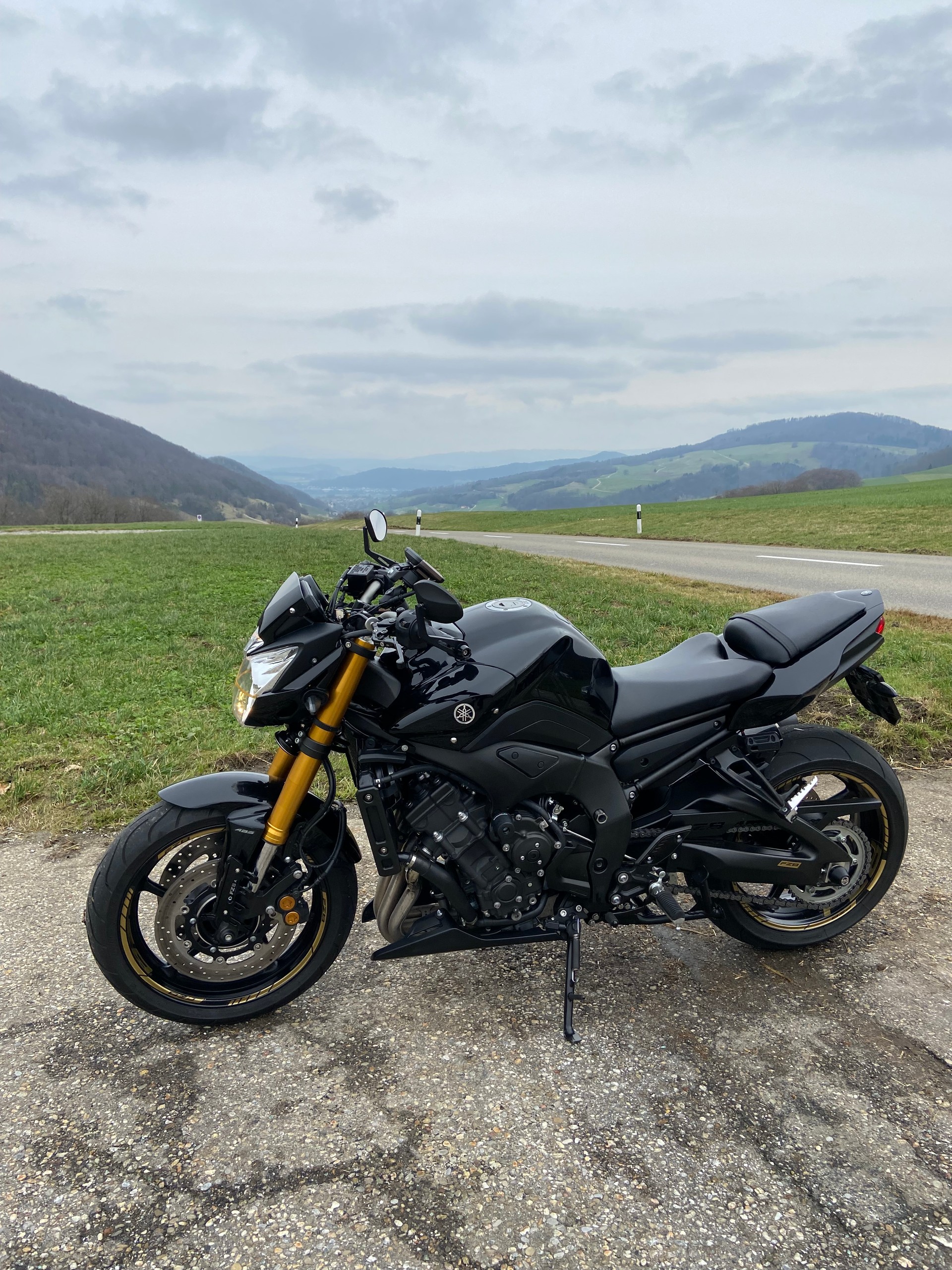 YAMAHA FZ8-image-1