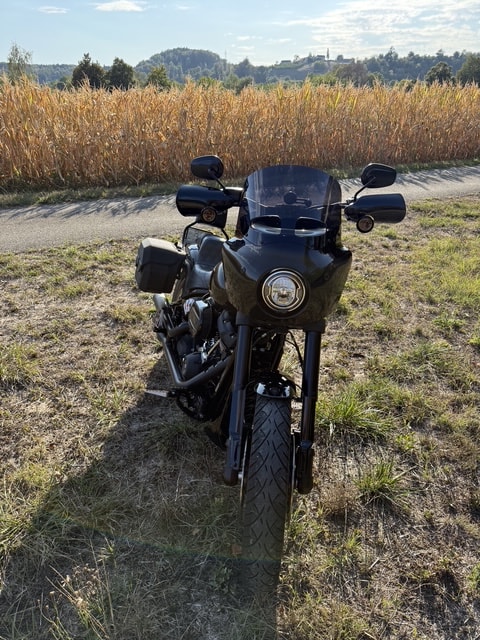 HARLEY-DAVIDSON FXLRS Low Rider S 114 ABS-image-4
