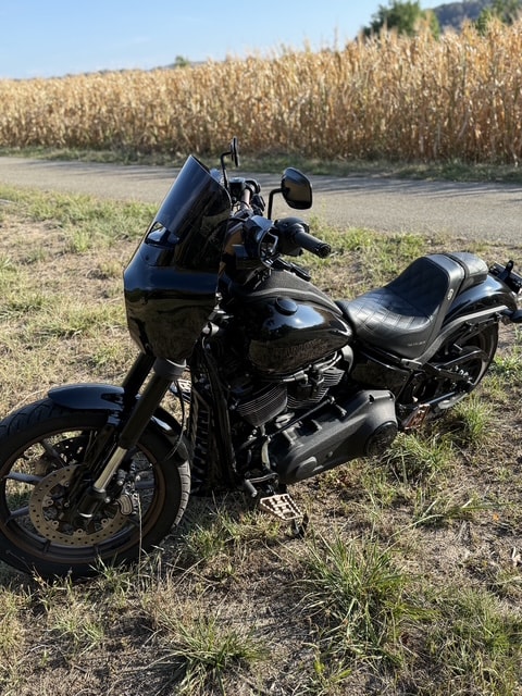 HARLEY-DAVIDSON FXLRS Low Rider S 114 ABS-image-2