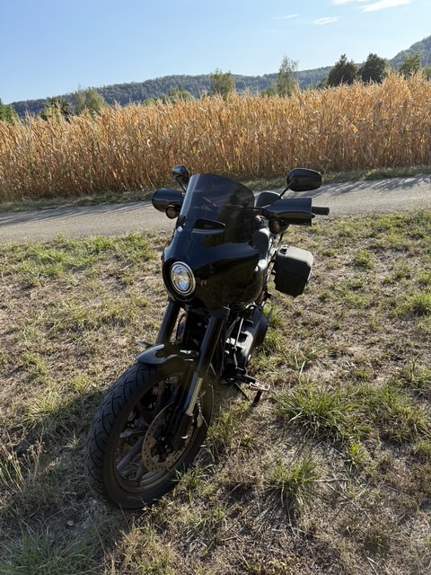 HARLEY-DAVIDSON FXLRS Low Rider S 114 ABS-image-3