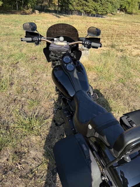 HARLEY-DAVIDSON FXLRS Low Rider S 114 ABS-image-5