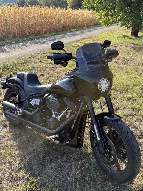 HARLEY-DAVIDSON FXLRS Low Rider S 114 ABS-image-10