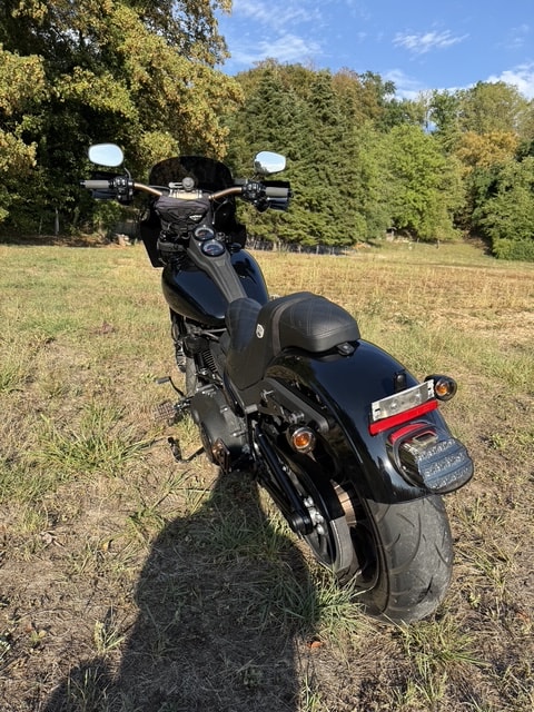 HARLEY-DAVIDSON FXLRS Low Rider S 114 ABS-image-7