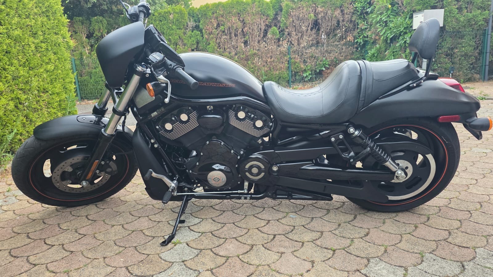 HARLEY-DAVIDSON VRSCDX Night Rod Special-image-1