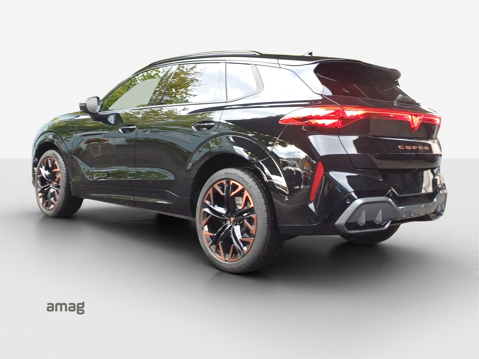 CUPRA CUPRA TERRAMAR VZ 4DRIVE PRIME EDITION 265 PS 4Drive DSG-showroom-element-2