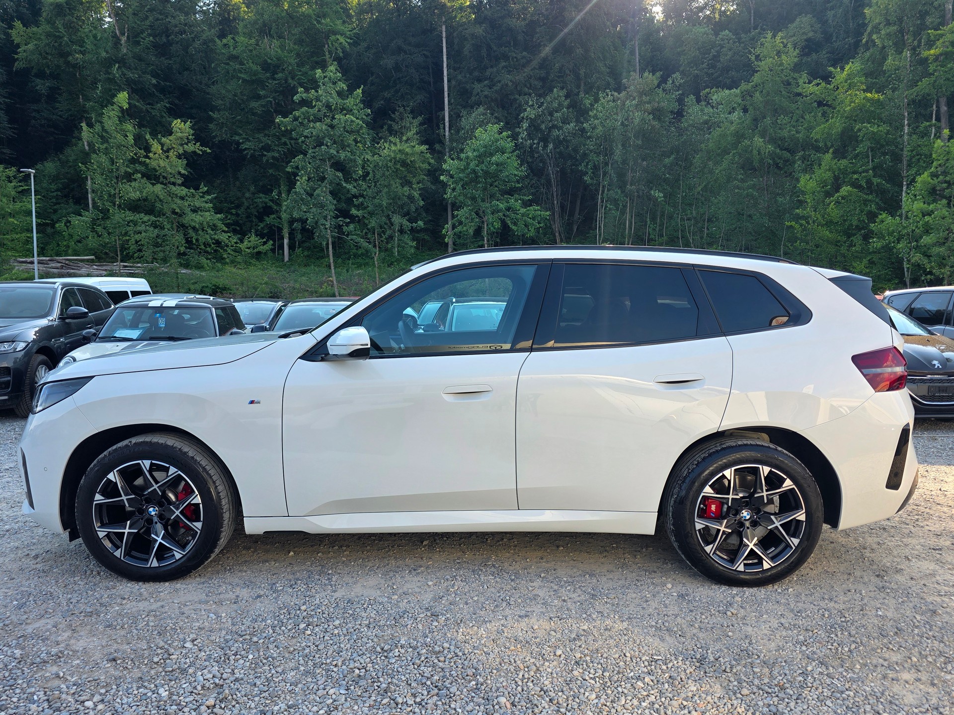 BMW X3 xDrive 48V 20d M Sport Pro-showroom-element-1