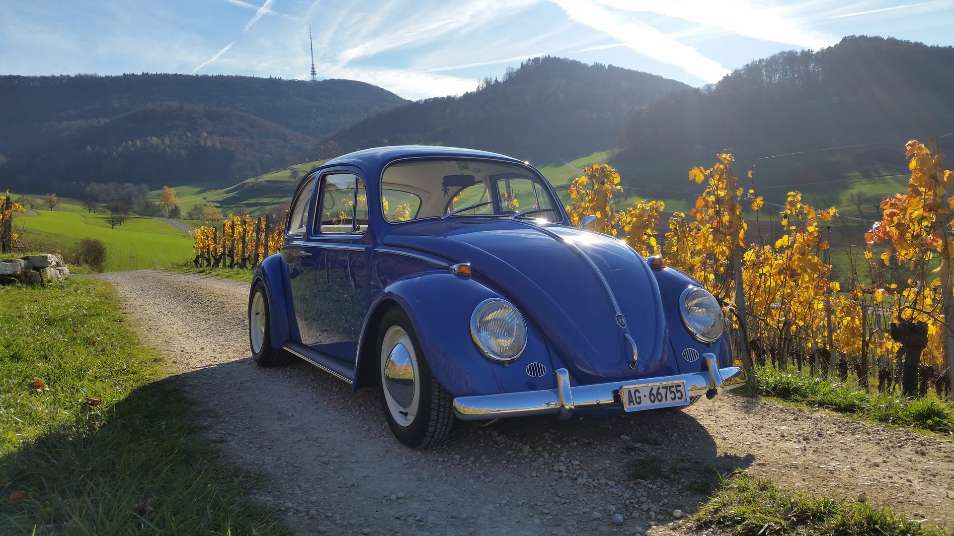 VW 1300 (1966)-showroom-element-1