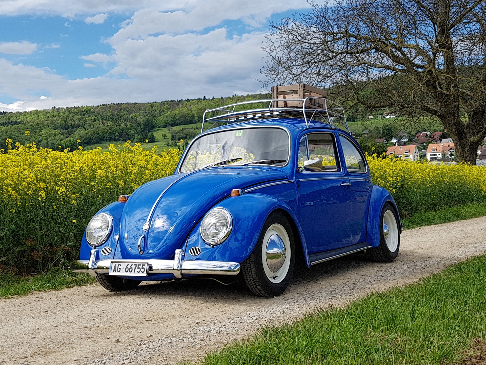 VW 1300 (1966)